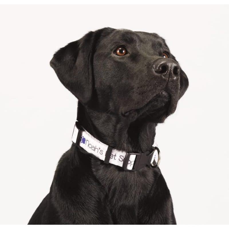 Custom Full Color 1'' Wide Adjustable Pet Collar - 1