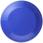 Custom 9-1/4" Flyer - 7